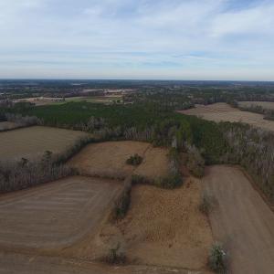 Photo #1 of SOLD property in Off Kemper Church Road, Lake View, SC 10.0 acres
