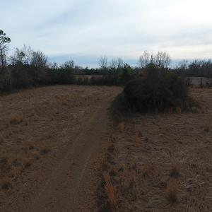 Photo #10 of SOLD property in Off Kemper Church Road, Lake View, SC 10.0 acres