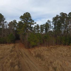 Photo #3 of SOLD property in Off Kemper Church Road, Lake View, SC 10.0 acres