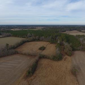 Photo #4 of SOLD property in Off Kemper Church Road, Lake View, SC 10.0 acres