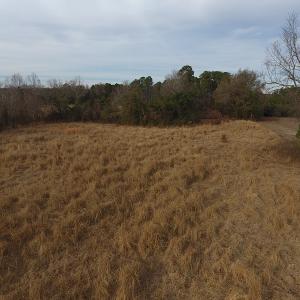 Photo #6 of SOLD property in Off Kemper Church Road, Lake View, SC 10.0 acres
