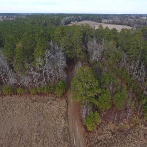 Photo #8 of SOLD property in Off Kemper Church Road, Lake View, SC 10.0 acres