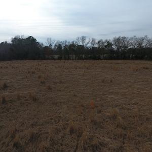 Photo #9 of SOLD property in Off Kemper Church Road, Lake View, SC 10.0 acres
