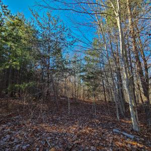 Photo #2 of SOLD property in Off Blue Knob Road, Martinsville, VA 12.5 acres