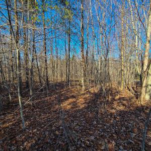 Photo #3 of SOLD property in Off Blue Knob Road, Martinsville, VA 12.5 acres