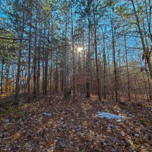 Photo #4 of SOLD property in Off Blue Knob Road, Martinsville, VA 12.5 acres