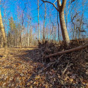 Photo #5 of SOLD property in Off Blue Knob Road, Martinsville, VA 12.5 acres