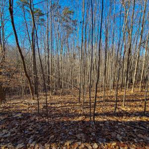 Photo #7 of SOLD property in Off Blue Knob Road, Martinsville, VA 12.5 acres