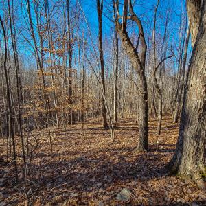 Photo #8 of SOLD property in Off Blue Knob Road, Martinsville, VA 12.5 acres