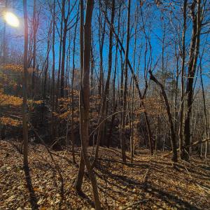 Photo #9 of SOLD property in Off Blue Knob Road, Martinsville, VA 12.5 acres