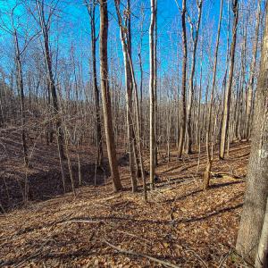 Photo #10 of SOLD property in Off Blue Knob Road, Martinsville, VA 12.5 acres