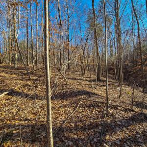 Photo #11 of SOLD property in Off Blue Knob Road, Martinsville, VA 12.5 acres