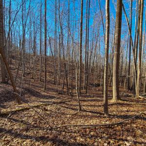 Photo #12 of SOLD property in Off Blue Knob Road, Martinsville, VA 12.5 acres