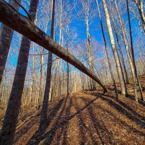Photo #14 of SOLD property in Off Blue Knob Road, Martinsville, VA 12.5 acres