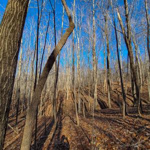Photo #15 of SOLD property in Off Blue Knob Road, Martinsville, VA 12.5 acres