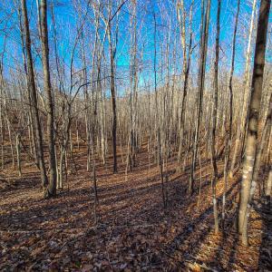 Photo #17 of SOLD property in Off Blue Knob Road, Martinsville, VA 12.5 acres
