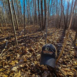 Photo #18 of SOLD property in Off Blue Knob Road, Martinsville, VA 12.5 acres