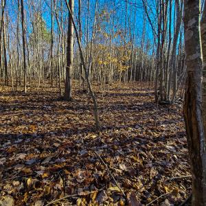 Photo #20 of SOLD property in Off Blue Knob Road, Martinsville, VA 12.5 acres