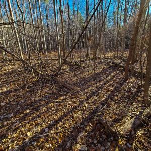 Photo #21 of SOLD property in Off Blue Knob Road, Martinsville, VA 12.5 acres