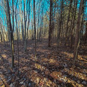 Photo #22 of SOLD property in Off Blue Knob Road, Martinsville, VA 12.5 acres