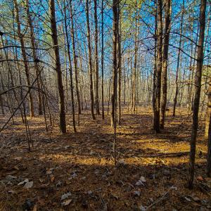 Photo #23 of SOLD property in Off Blue Knob Road, Martinsville, VA 12.5 acres
