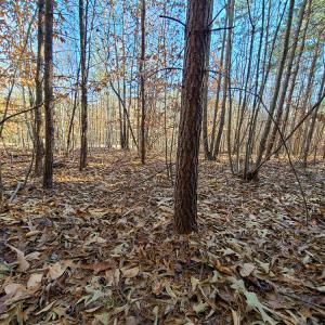 Photo #25 of SOLD property in Off Blue Knob Road, Martinsville, VA 12.5 acres