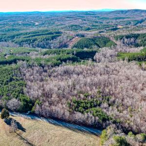 Photo #27 of SOLD property in Off Blue Knob Road, Martinsville, VA 12.5 acres