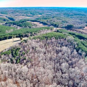 Photo #29 of SOLD property in Off Blue Knob Road, Martinsville, VA 12.5 acres