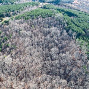 Photo #30 of SOLD property in Off Blue Knob Road, Martinsville, VA 12.5 acres