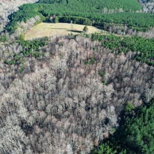 Photo #31 of SOLD property in Off Blue Knob Road, Martinsville, VA 12.5 acres