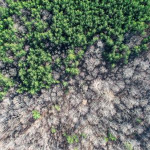Photo #36 of SOLD property in Off Blue Knob Road, Martinsville, VA 12.5 acres