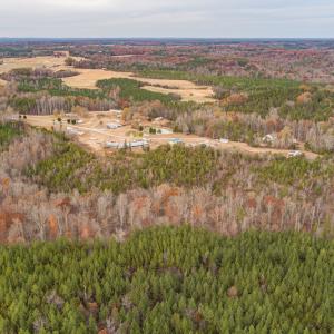 Photo #9 of SOLD property in Off McGees Mill Road, Semora, NC 21.2 acres