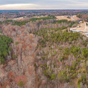 Photo #10 of SOLD property in Off McGees Mill Road, Semora, NC 21.2 acres