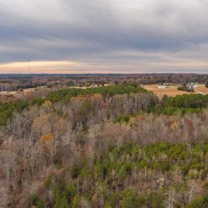Photo #12 of SOLD property in Off McGees Mill Road, Semora, NC 21.2 acres