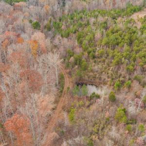 Photo #13 of SOLD property in Off McGees Mill Road, Semora, NC 21.2 acres