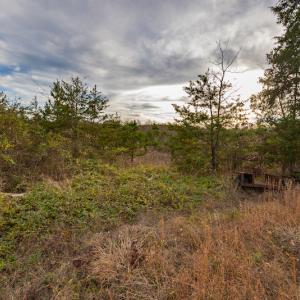 Photo #15 of SOLD property in Off McGees Mill Road, Semora, NC 21.2 acres