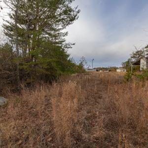 Photo #19 of SOLD property in Off McGees Mill Road, Semora, NC 21.2 acres