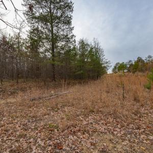 Photo #20 of SOLD property in Off McGees Mill Road, Semora, NC 21.2 acres