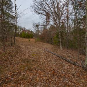 Photo #21 of SOLD property in Off McGees Mill Road, Semora, NC 21.2 acres