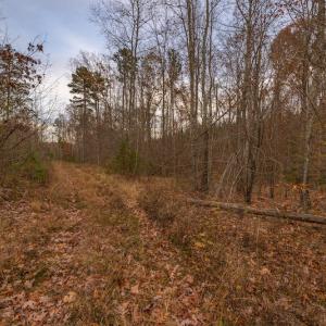 Photo #22 of SOLD property in Off McGees Mill Road, Semora, NC 21.2 acres