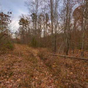 Photo #22 of SOLD property in Off McGees Mill Road, Semora, NC 21.2 acres