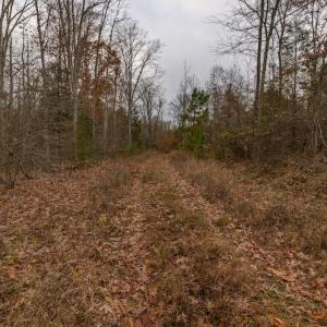 Photo #23 of SOLD property in Off McGees Mill Road, Semora, NC 21.2 acres