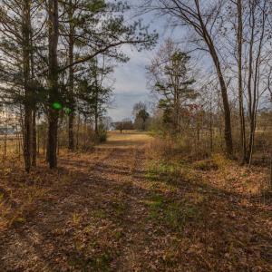 Photo #25 of SOLD property in Off McGees Mill Road, Semora, NC 21.2 acres