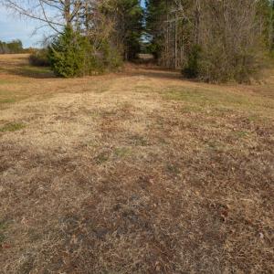 Photo #26 of SOLD property in Off McGees Mill Road, Semora, NC 21.2 acres