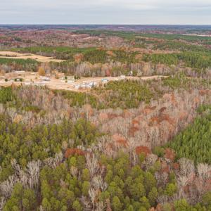 Photo #6 of SOLD property in Off McGees Mill Road, Semora, NC 21.2 acres