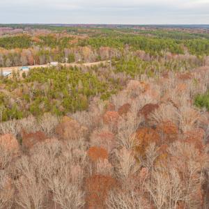 Photo #7 of SOLD property in Off McGees Mill Road, Semora, NC 21.2 acres
