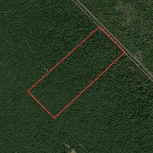 Photo #1 of SOLD property in Off New Lake Road, Belhaven, NC 59.1 acres