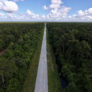 Photo #2 of SOLD property in Off New Lake Road, Belhaven, NC 59.1 acres