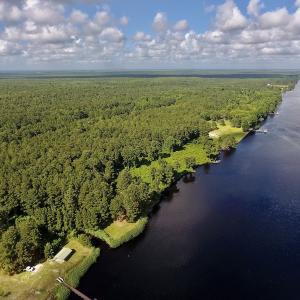 Photo #10 of SOLD property in Off New Lake Road, Belhaven, NC 59.1 acres