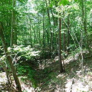 Photo #24 of SOLD property in Off Taylor View Road, Patrick Springs, VA 21.0 acres